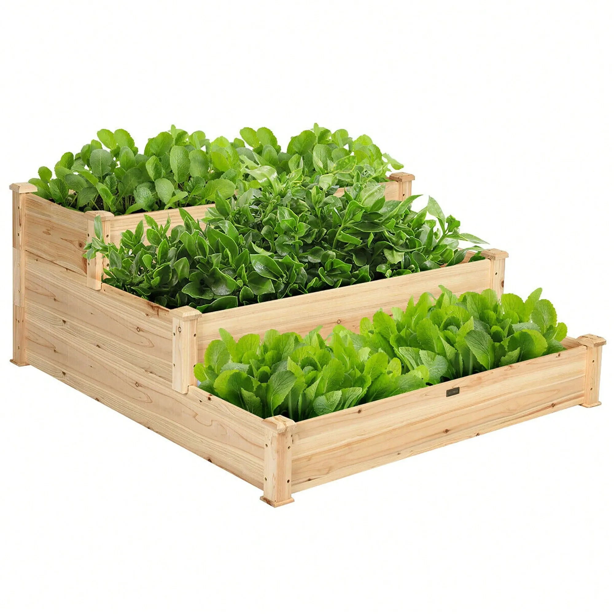 3 Tier Of Wooden Raised Garden Bed Elevated Planter Box