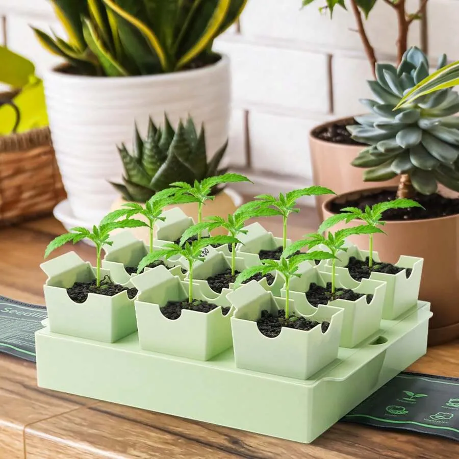 9 Cell Of Seedling Tray Plant Starter Planter Box Set