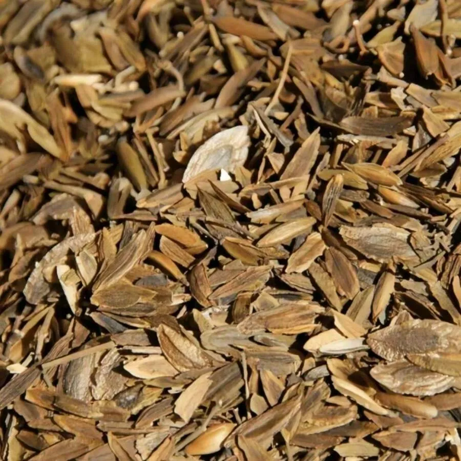 100 Pieces Of Variegated Hosta Plants For Garden100 Pieces Of Variegated Hosta Plants For Garden - Image 5