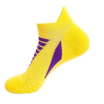 Vibrant Colors Ankle Length Sports Socks For Men & Women-Plantar Socks
