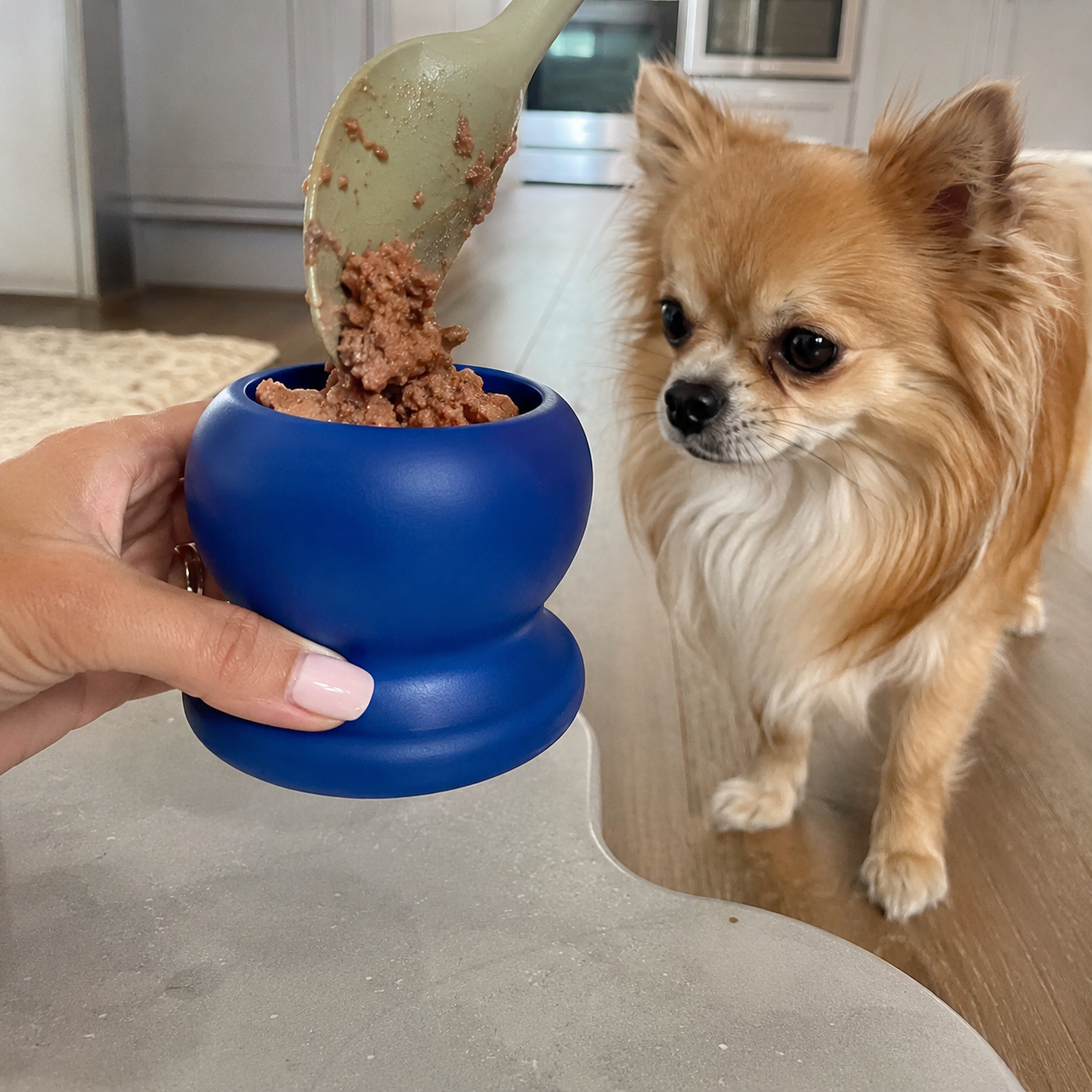 Fillable Dog Chew Bone Toy