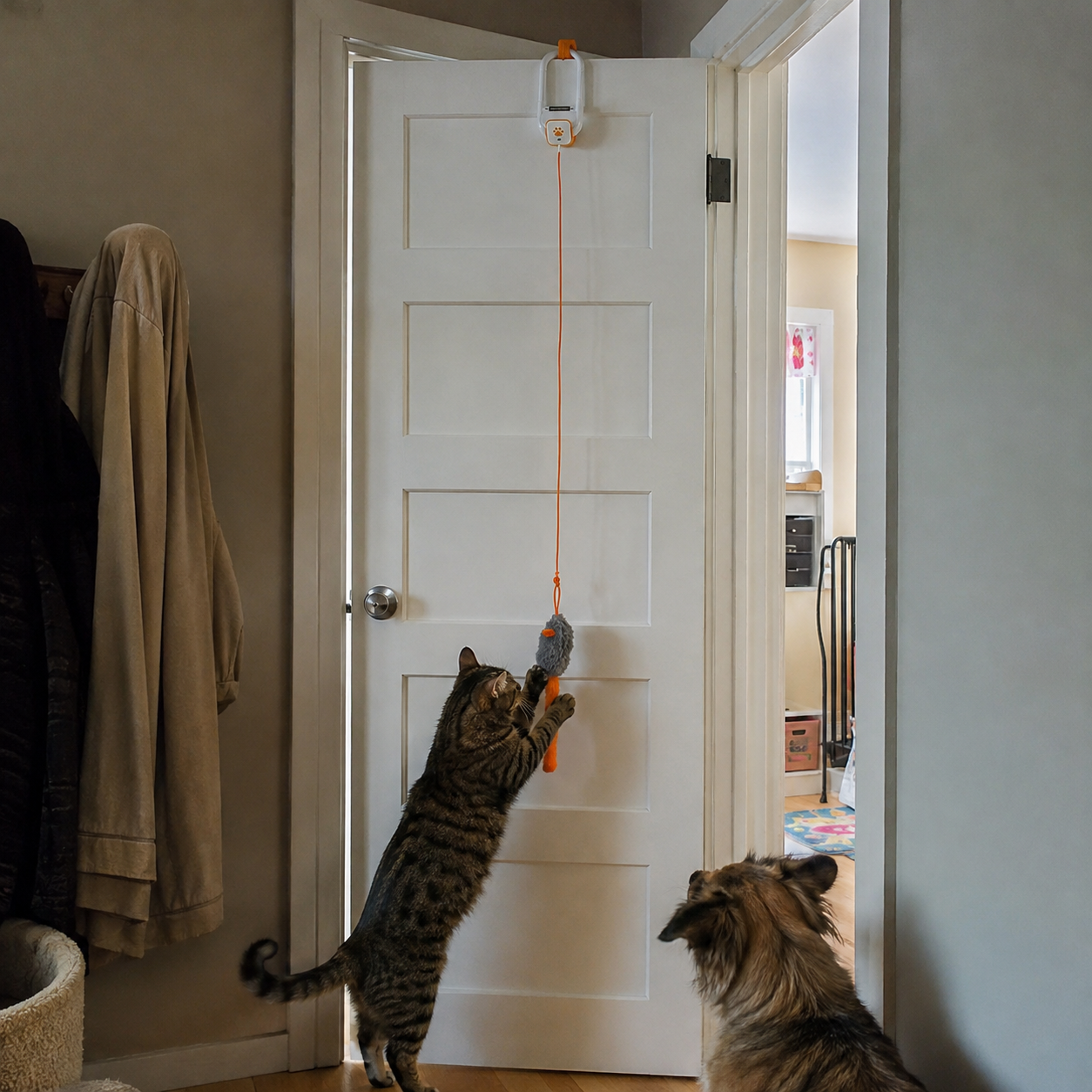 Auto Teaser Wand With 2 Fun Modes Rechargeable Cat Toy