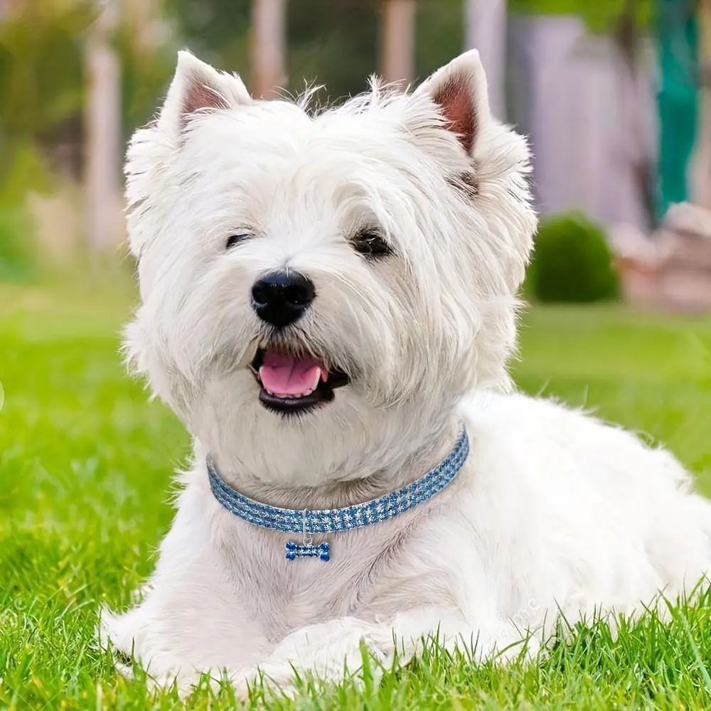 Adjustable Rhinestone Crystal Collar Chain For Dogs And Cats