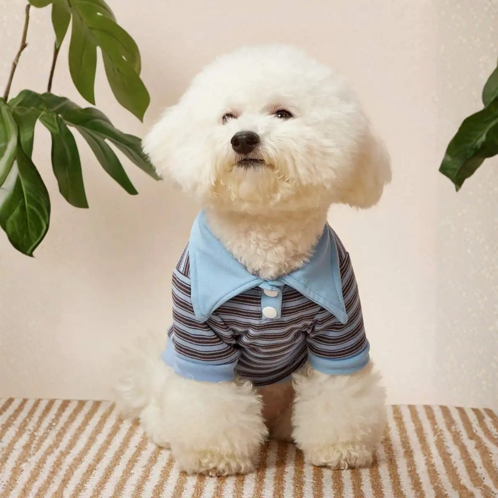 Striped Design Pet Polo Shirt For Cats And Dogs Winter Wear