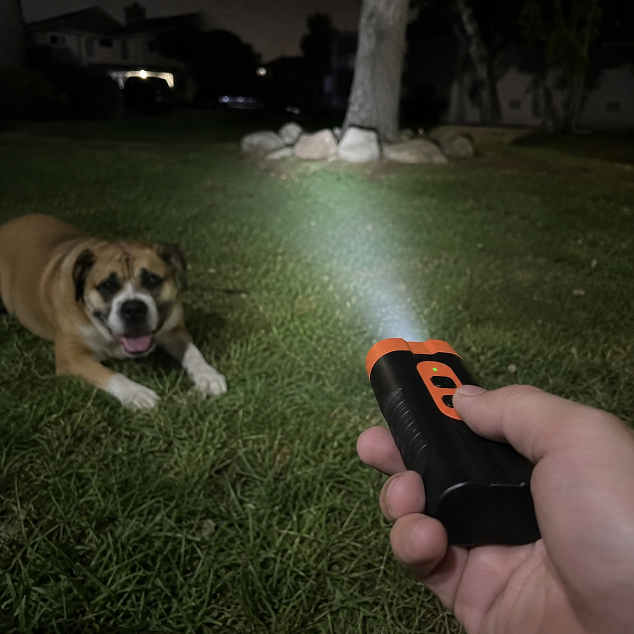  Ultrasonic USB Rechargeable Dog Barking Sound Based Dual Emitters Training Tool