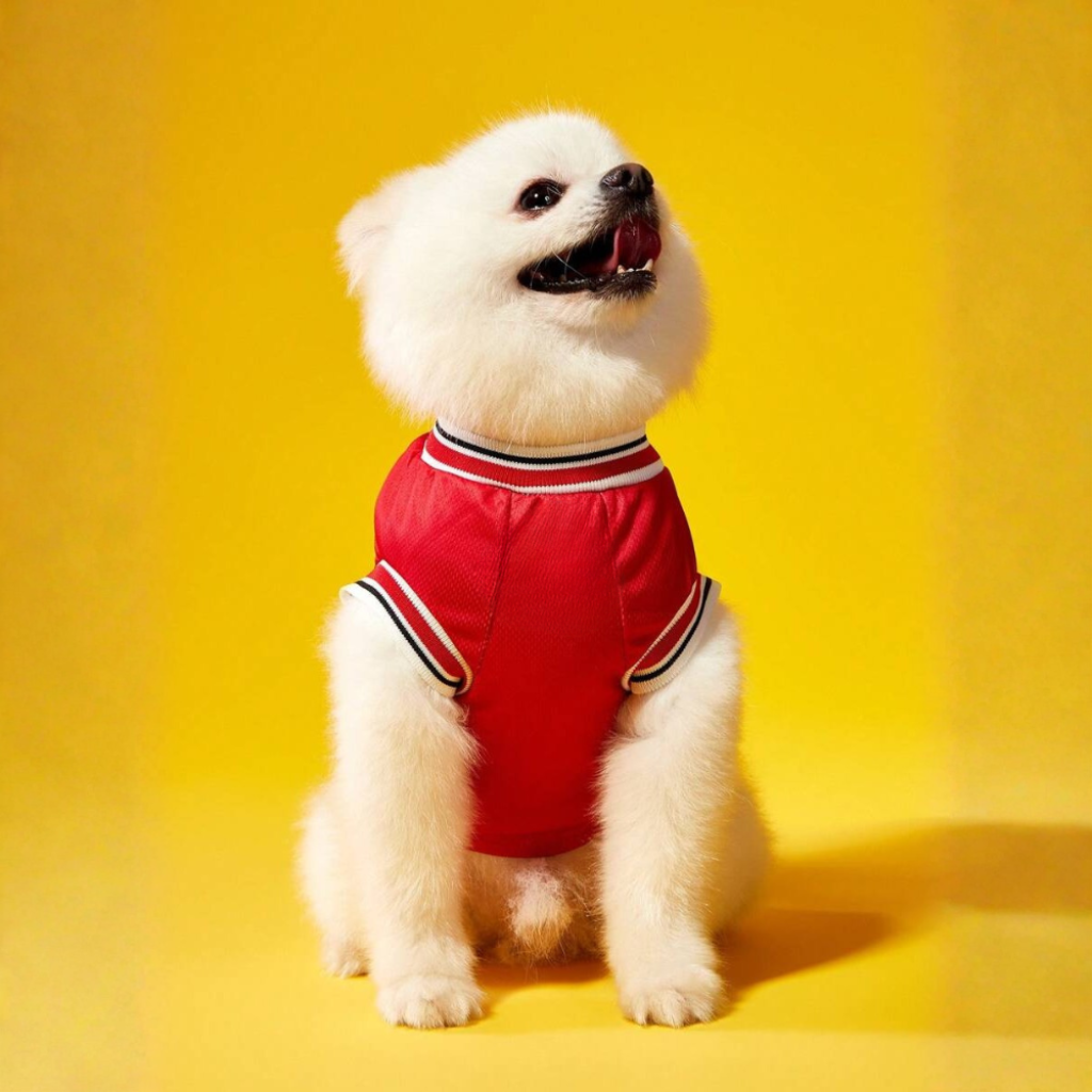 Structured Thermal Sporty National Pet Jersey
