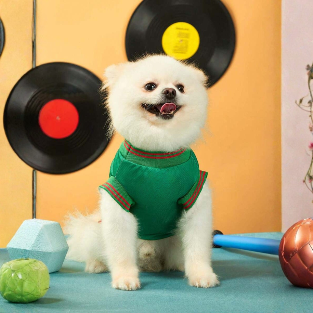Structured Thermal Sporty National Pet Jersey