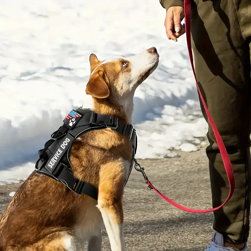 Adjustable Waterproof Soft Dog Harness With Reflective Vest 
