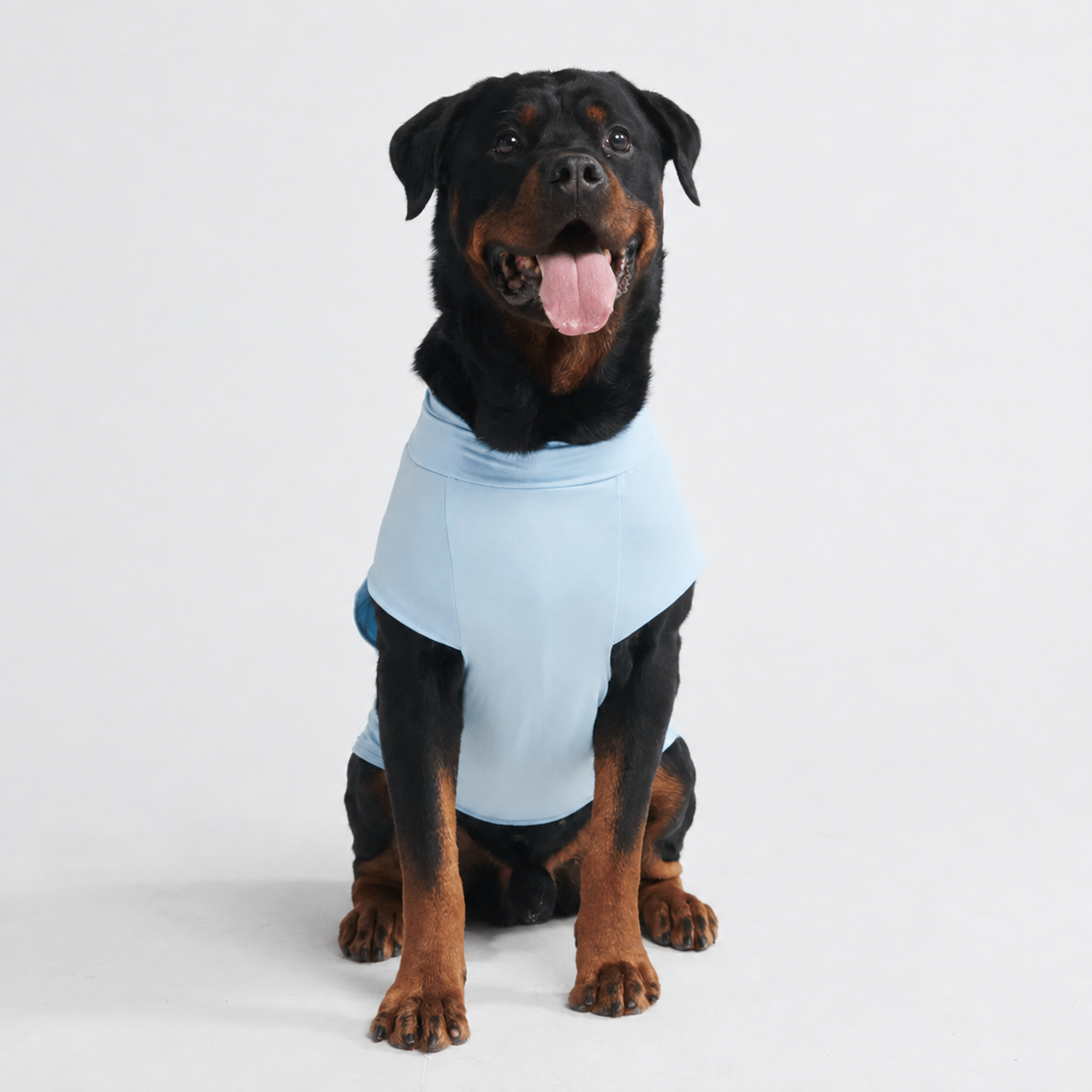 Set Of 2 Sunblock Quick Dry Soft Stretchy Lightweight T Shirts For Dogs