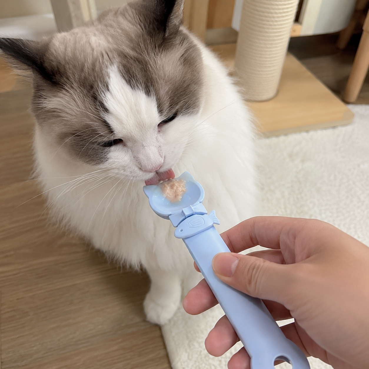 Food Dispenser Long Handle Spoon For Cats