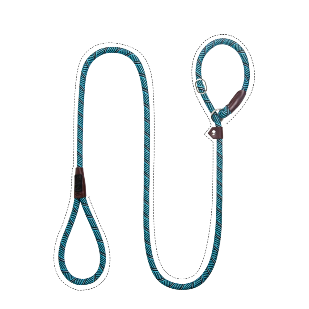 Sturdy Slip Training Leash-Paw Print Pad