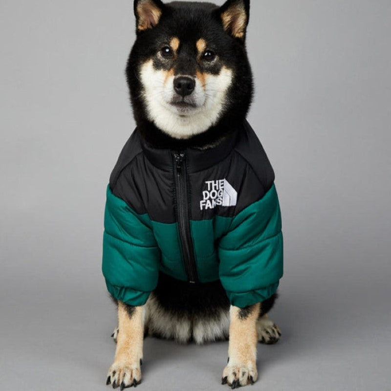 Designer Dog Coat For Winter And Autumn-Paw Print Pad