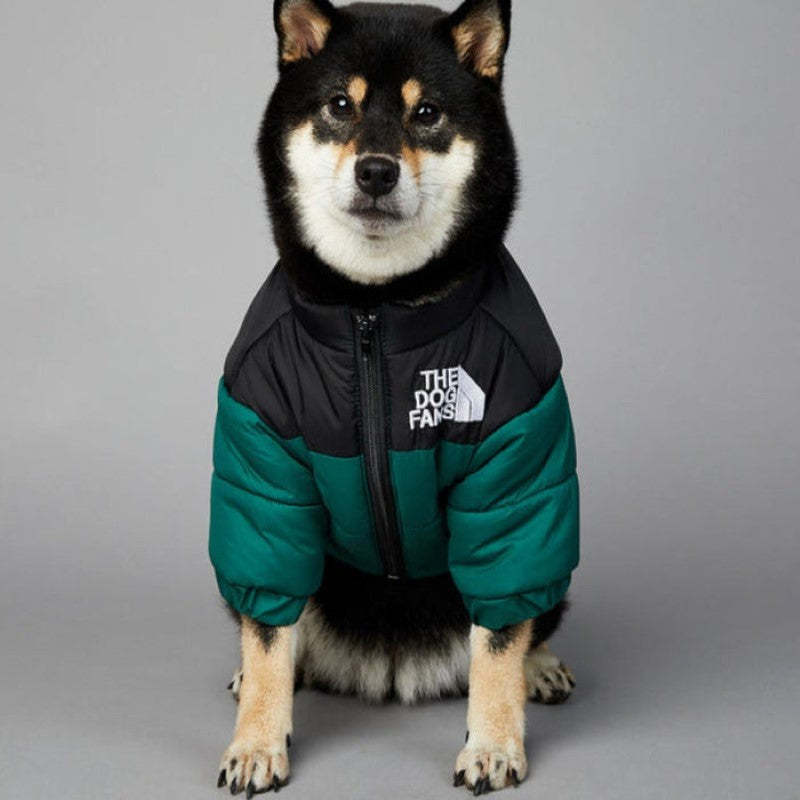 Designer Dog Coat For Winter And Autumn-Paw Print Pad