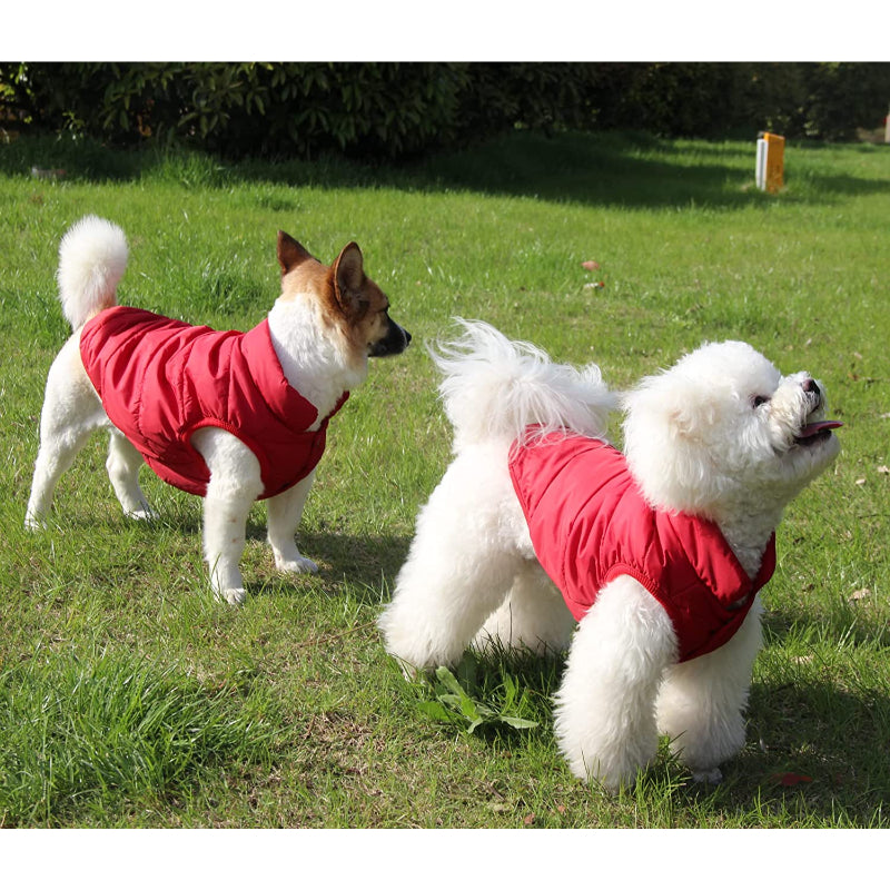 2 Layers Fleece Lined Warm Dog Jacket For Puppy Winter Cold Weather,Soft Windproof Small Dog Coat-Paw Print Pad