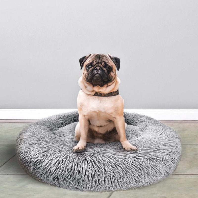 Soothing Donut Pet ed For Tour Pet-Paw Print Pad
