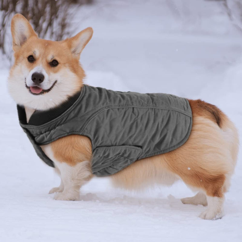 Dog Jacket For Winter With Stylish Vest Design For Small To Large Dogs-Paw Print Pad
