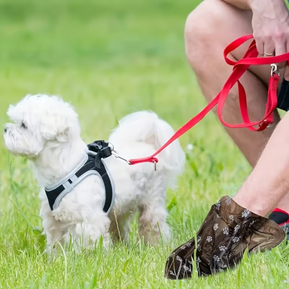 10 Rolls Of Dog Poop Bags With Leak Proof Design