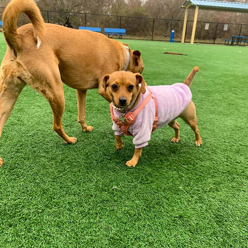 Dog Sweater, Dog Clothes, Dog Coat, Dog Jacket For Small Or Medium Dogs, Ultra Soft And Warm Cat Sweaters-Paw Print Pad