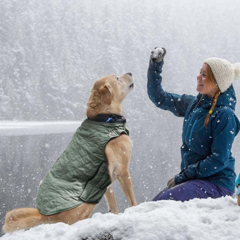 Dog Jackets For Winter, Cold Weather Coats For Dogs, Soft Winter Jackets, Dog Winter Vest For Small Medium Large Dogs-Paw Print Pad