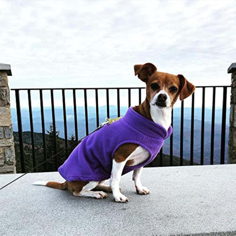 Fleece Vest Dog Sweater Fleece Dog Jacket With Cold Weather Clothes-Paw Print Pad