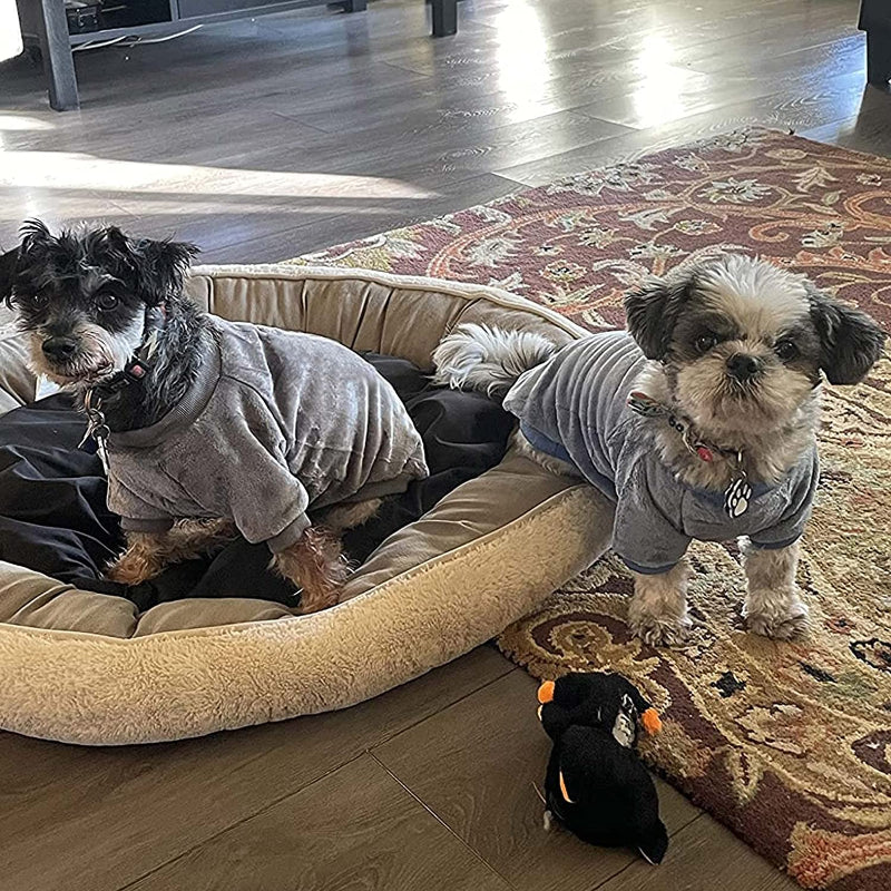 Ultra soft sweater for Dog-Paw Print Pad