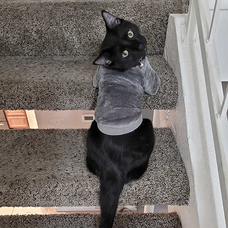 Ultra soft sweater for Dog-Paw Print Pad