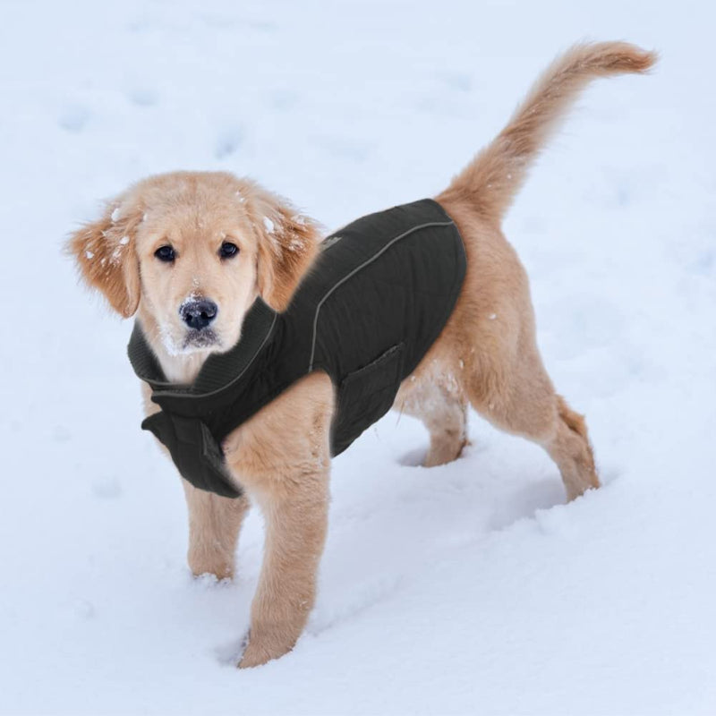 Dog Jackets For Winter, Cold Weather Coats For Dogs, Soft Winter Jackets, Dog Winter Vest For Small Medium Large Dogs-Paw Print Pad