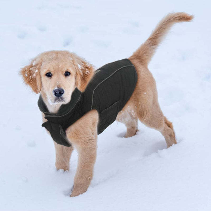 Dog Jackets For Winter, Cold Weather Coats For Dogs, Soft Winter Jackets, Dog Winter Vest For Small Medium Large Dogs-Paw Print Pad