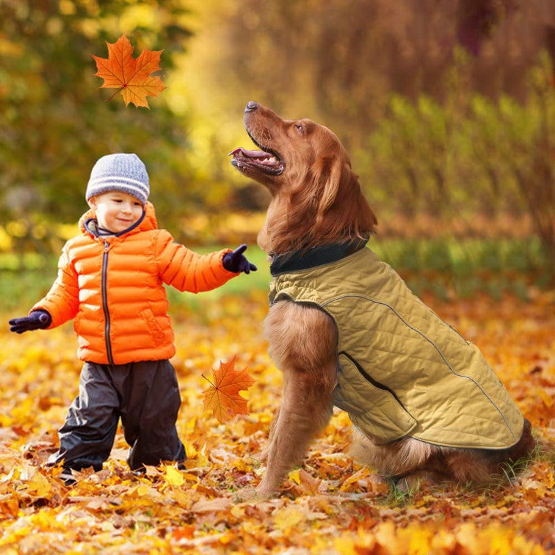 Dog Jackets For Winter, Cold Weather Coats For Dogs, Soft Winter Jackets Dogs, Dog Winter Vest For Small Medium And Large Dogs-Paw Print Pad