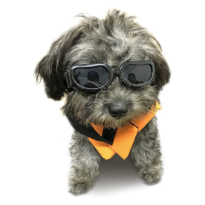 Dog Sunglasses Small Breed Dogs Goggles UV Protection Eye Wear Windproof Anti-Fog Pet Glasses For Doggy About Over 5lbs, White-Paw Print Pad