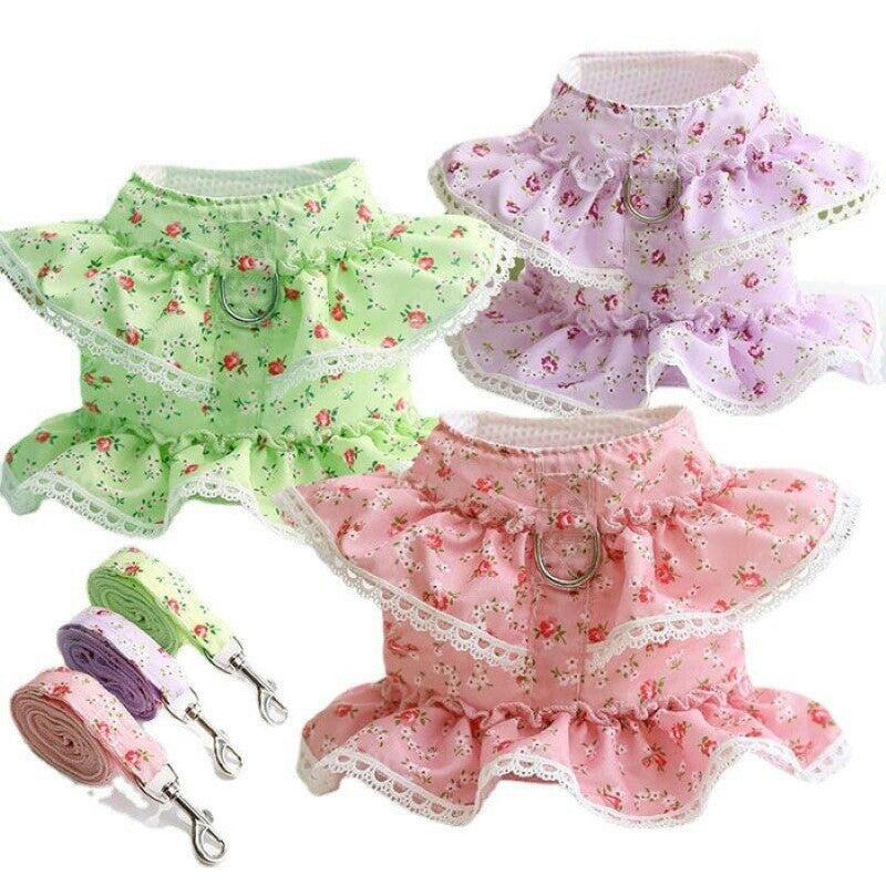 Floral Dog Dress With Lace Trim And Matching Leash-Paw Print Pad