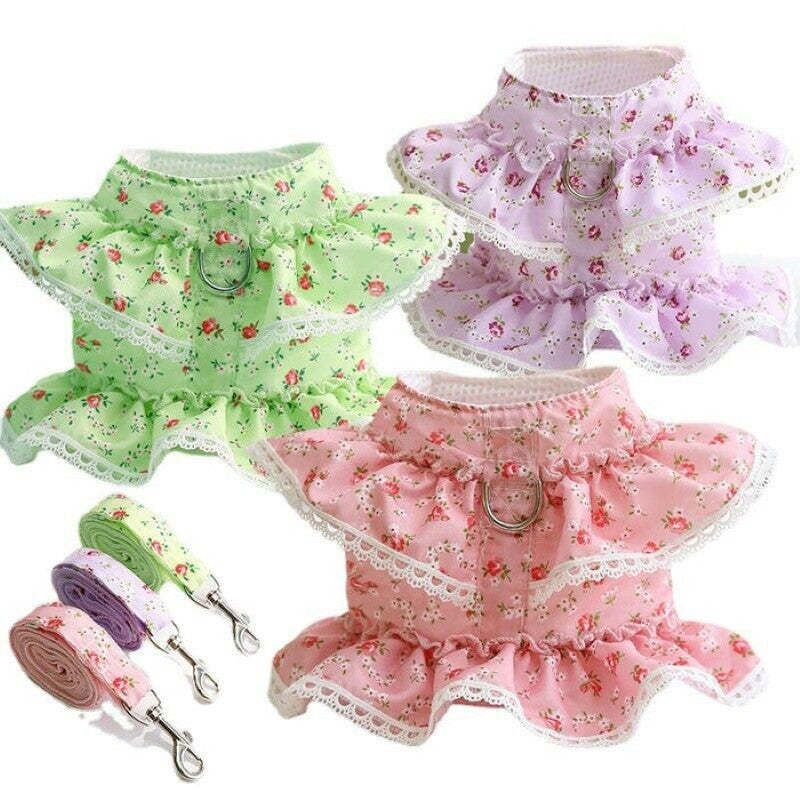Floral Dog Dress With Lace Trim And Matching Leash-Paw Print Pad