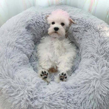 Cozy Faux Fur Dog and Cat Bed with High-Stretch Fabric-Paw Print Pad