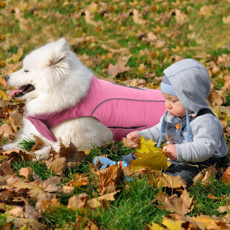 Dog Jackets For Winter, Cold Weather Coats For Dogs, Soft Winter Jackets Dogs, Dog Winter Vest For Small Medium And Large Dogs-Paw Print Pad