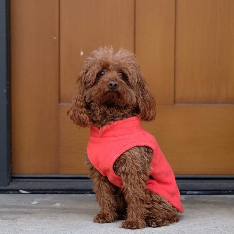 Fleece Vest Dog Sweater Fleece Dog Jacket With Cold Weather Clothes-Paw Print Pad