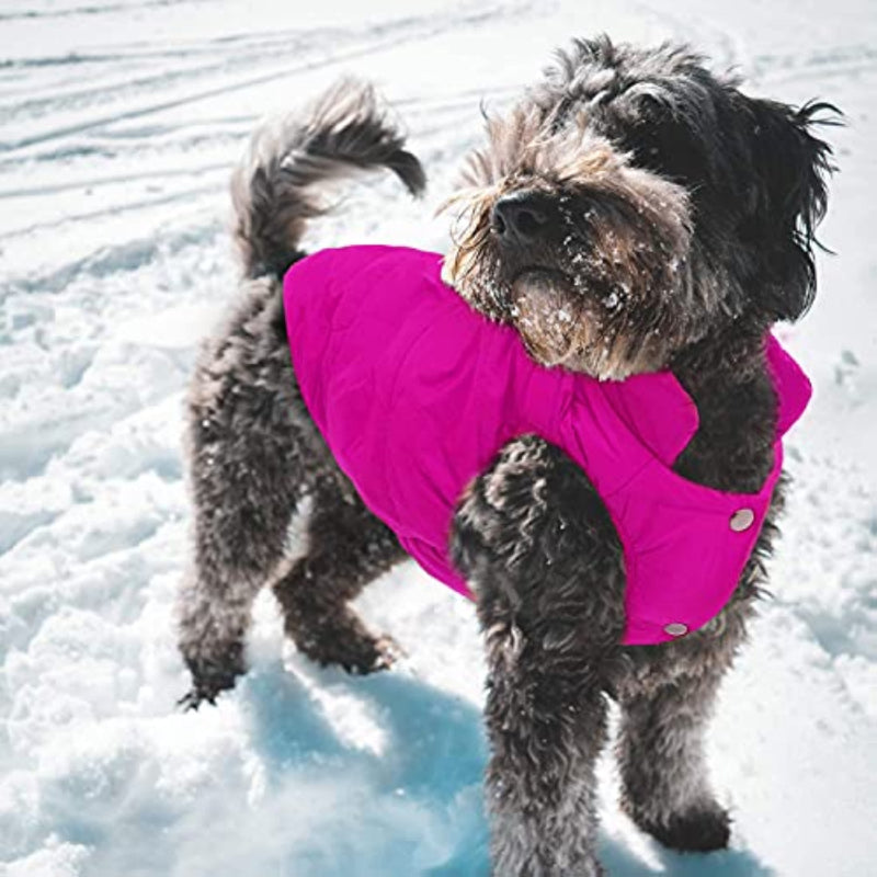Windproof Dog Winter Coat Waterproof Dog Jacket Warm Dog-Paw Print Pad