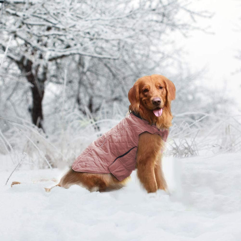 Dog Jacket For Winter With Stylish Vest Design For Small To Large Dogs-Paw Print Pad