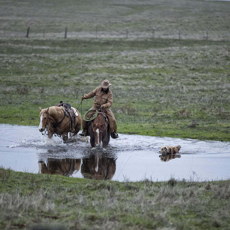 Insulated Dog Chore Coat-Paw Print Pad