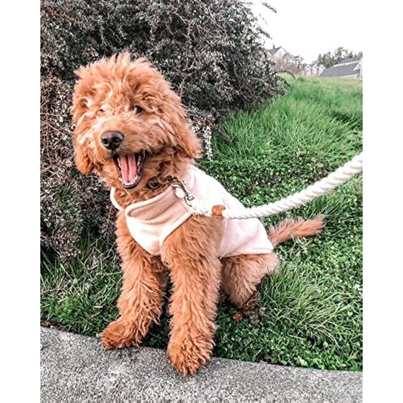 Fleece Vest Dog Sweater Fleece Dog Jacket With Cold Weather Clothes-Paw Print Pad