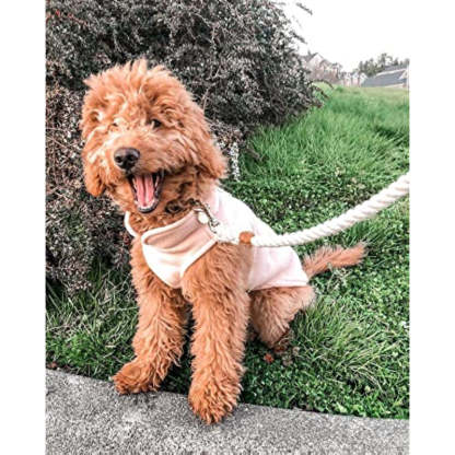 Fleece Vest Dog Sweater Fleece Dog Jacket With Cold Weather Clothes-Paw Print Pad