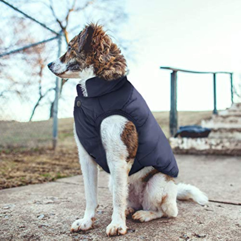 Windproof Dog Winter Coat Waterproof Dog Jacket Warm Dog-Paw Print Pad