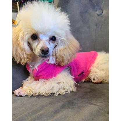 Fleece Vest Dog Sweater Fleece Dog Jacket With Cold Weather Clothes-Paw Print Pad