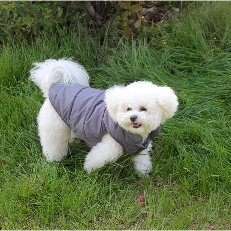 2 Layers Fleece Lined Warm Dog Jacket For Puppy Winter Cold Weather,Soft Windproof Small Dog Coat-Paw Print Pad