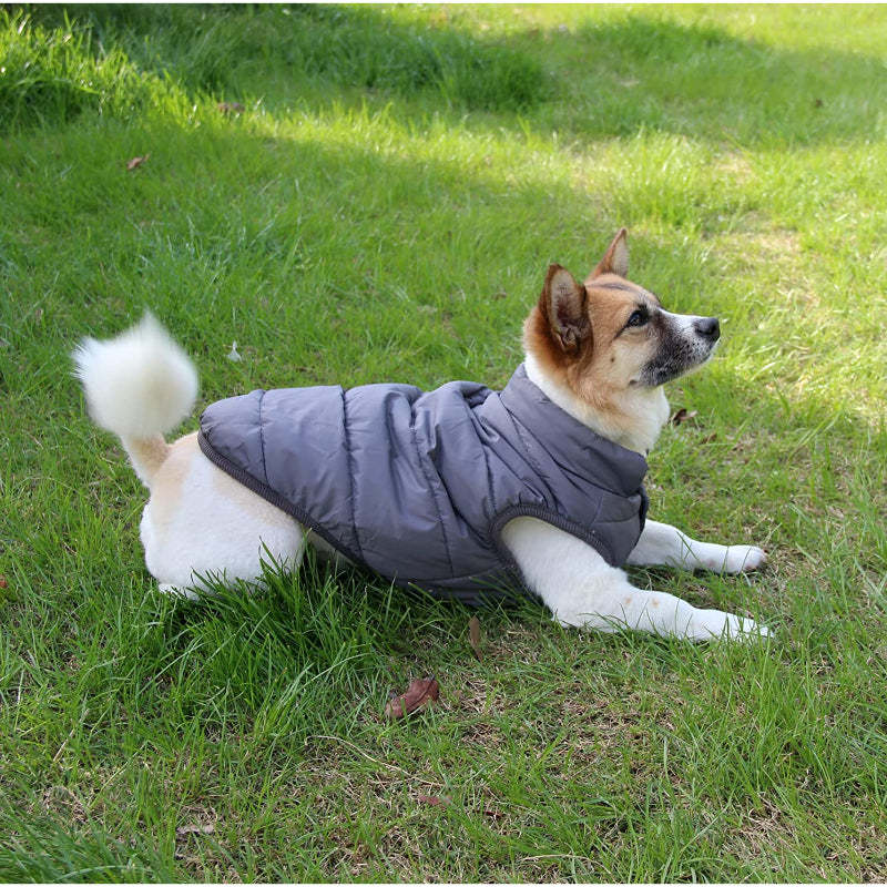 2 Layers Fleece Lined Warm Dog Jacket For Puppy Winter Cold Weather,Soft Windproof Small Dog Coat-Paw Print Pad