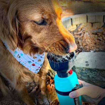 Leak Proof Portable Pet Water Bottle-Paw Print Pad