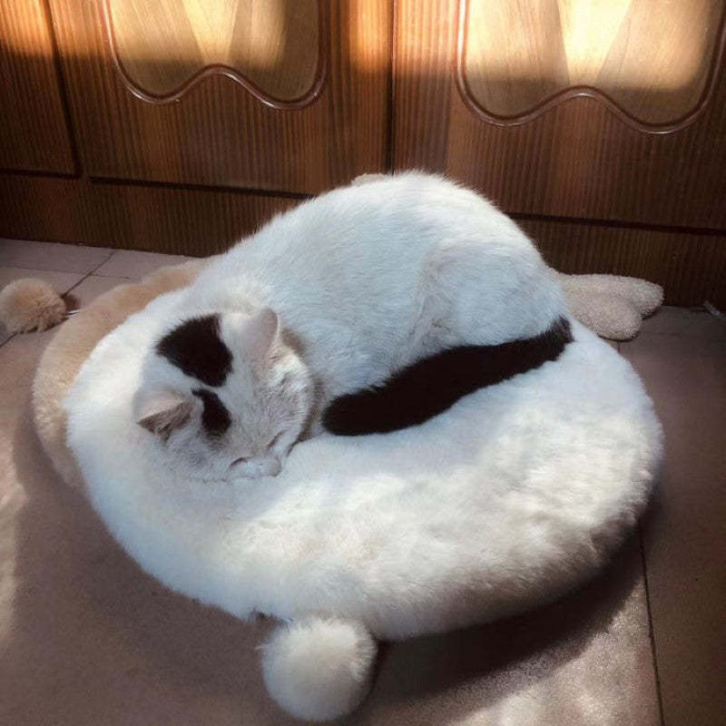 Comfy Round Cat Mat-Paw Print Pad