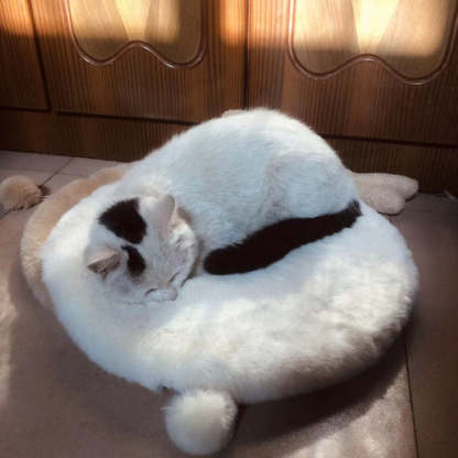 Comfy Round Cat Mat-Paw Print Pad