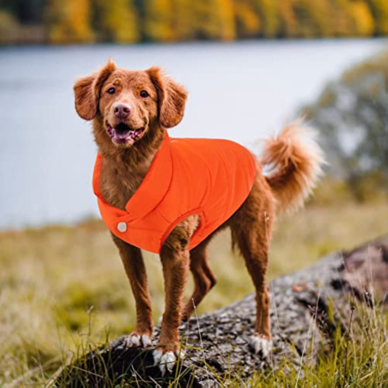 Windproof Dog Winter Coat Waterproof Dog Jacket Warm Dog-Paw Print Pad