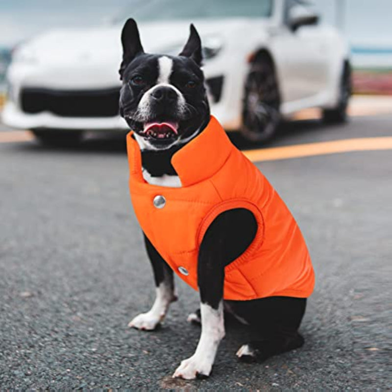 Windproof Dog Winter Coat Waterproof Dog Jacket Warm Dog-Paw Print Pad