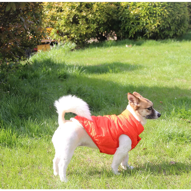 2 Layers Fleece Lined Warm Dog Jacket For Puppy Winter Cold Weather,Soft Windproof Small Dog Coat-Paw Print Pad